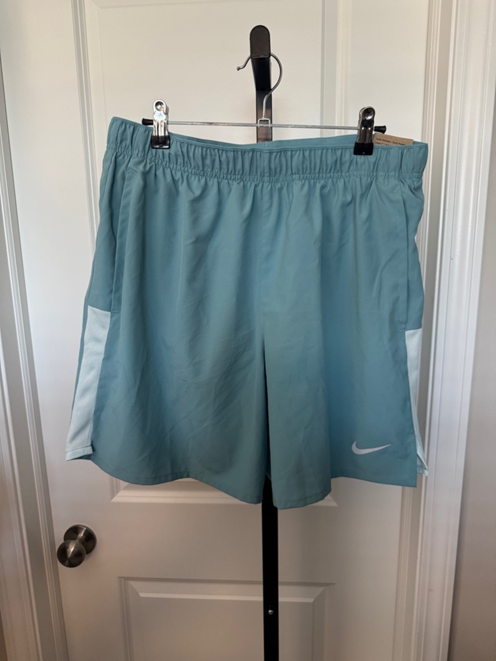 Nike Teal-Blue Performance Shorts with White Panels